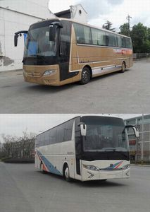 Yaxing  YBL6125H1QJ coach