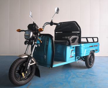 Baoya  BY1500DZH2 Electric tricycle