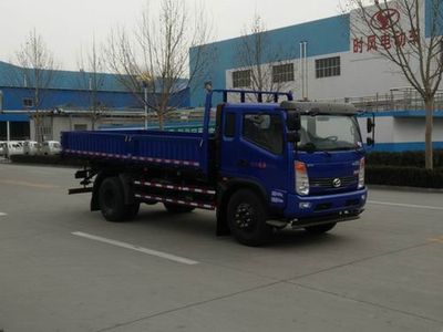 Shifeng SSF3112DHP88Dump truck