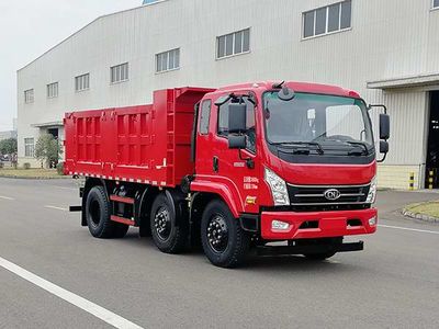 Nanjun  NJA3241QPF43A Dump truck