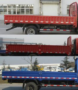 Foton  BJ1049V8PDAAA Truck