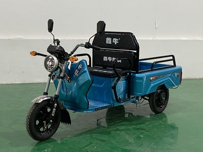 Xinniu  XN1000DZH3 Electric tricycle