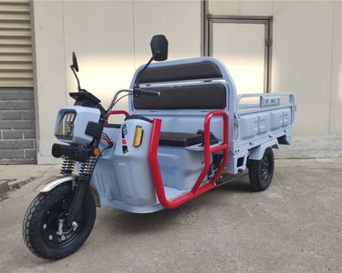 Emma  AM1500DZHT Electric tricycle