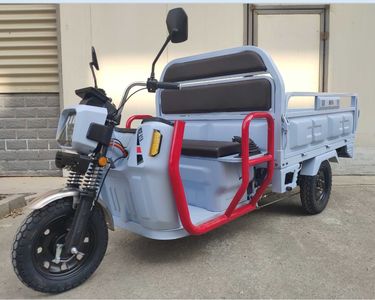 Emma  AM1500DZHT Electric tricycle