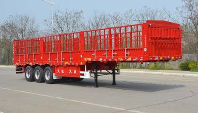 Tianjun Dejin brand automobiles TJV9406CCYE Gantry transport semi-trailer