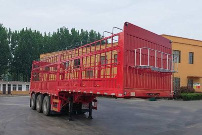 Jinlong Dongjie brand automobiles TDJ9401CCYE Gantry transport semi-trailer