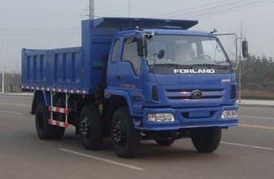 Foton  BJ3183DKPFB2 Dump truck