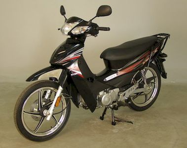 Changguang  CK110D Two wheeled motorcycles