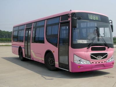 Yangtze River brand automobilesWG6100NQECity buses