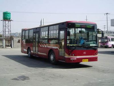 Friendship  ZGT6103DH City buses