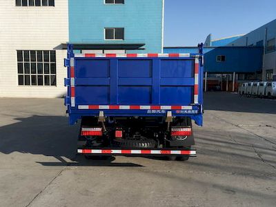 Shifeng  SSF3042DDJ64 Dump truck