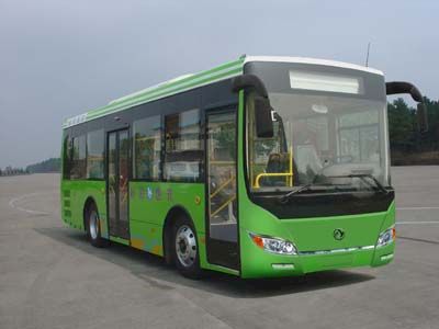 Dongfeng  DHZ6900L City buses