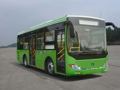 Dongfeng  DHZ6900L City buses