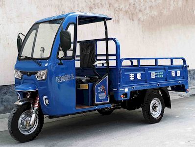 Fengshou  FS2200DZH2G Electric tricycle