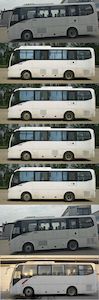 Jinlong  XMQ6802AYN5D coach