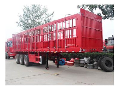 Brilliant Pengda HPD9370CCYGantry transport semi-trailer