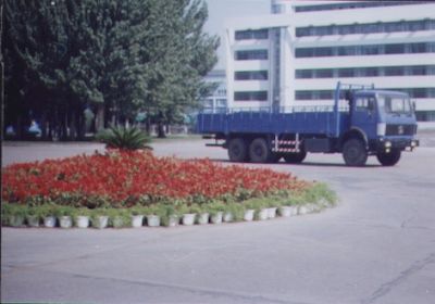 Northern Mercedes Benz ND1250S3 Truck