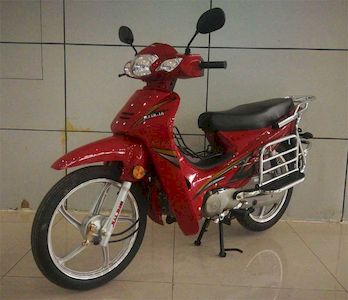 Jialing  JL11016 Two wheeled motorcycles