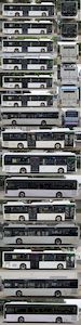 Yutong  ZK6126CHEVNPG2 Plug in hybrid low entry city buses