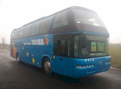 Yuzhou brand automobiles YZ6110YLFK0Z coach