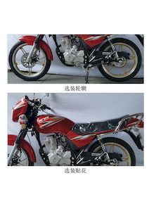 Wangye  WY1256E Two wheeled motorcycles