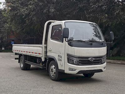 Foton  BJ1045V4JBA22 Truck