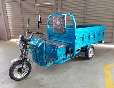 Biao Peng  BP1000DZH8 Electric tricycle