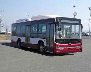 Huanghai  DD6109B20 City buses