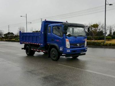 Shifeng  SSF3046DDP55 Dump truck