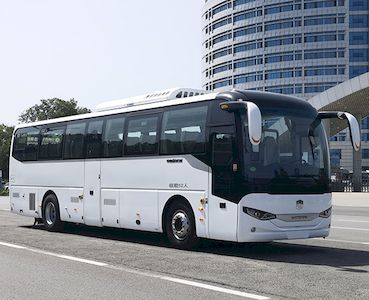 Zhongtong Automobile LCK6116EV1A3 Pure electric passenger cars