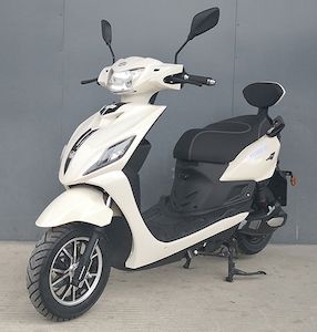 Fosdie FT1500DT15C Electric two wheeled motorcycle