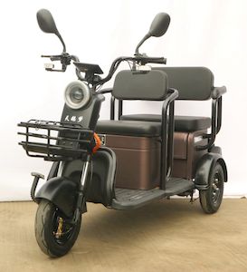 Swan Dream  TEM800DZK2 Electric tricycle