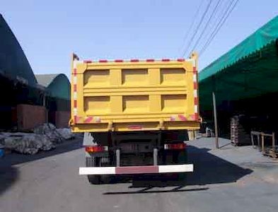 Dayun  DYX3251PA53WPD3H Dump truck