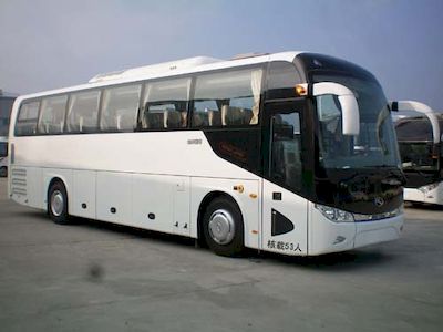 Jinlong  XMQ6113AYN5C coach