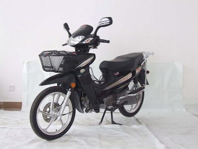 Dayang  DY11020A Two wheeled motorcycles