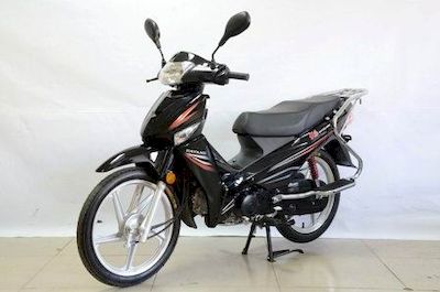 Dayang  DY12566M Two wheeled motorcycles