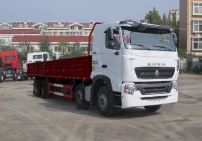 Haowo  ZZ1317N466WE1 Truck