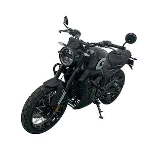 Qidian KD200GKTwo wheeled motorcycles