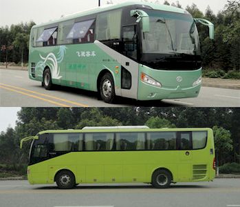 Feichi  FSQ6107DC coach