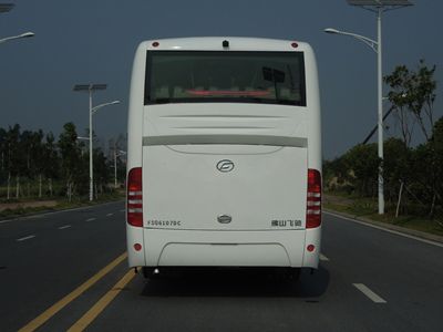 Feichi  FSQ6107DC coach