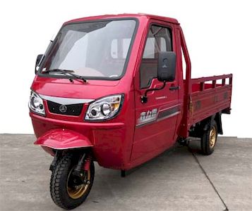 Xinliba  XLB3000DZH2 Electric tricycle