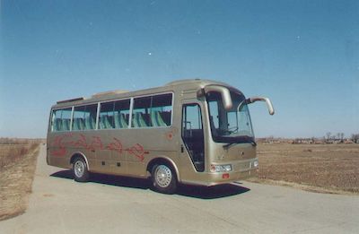 Dejinma STL6800R coach