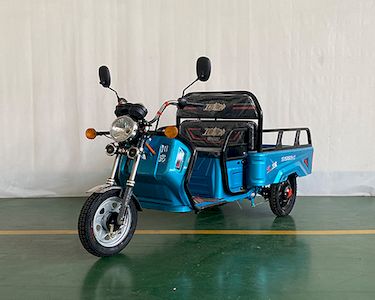 Shuangsheng  SS1500DZH2 Electric tricycle