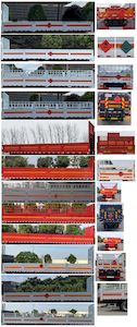 Chusheng  CSC5320TQPD6 Gas cylinder transport vehicle