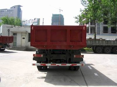 Starstal ZZ3253M2941A Dump truck