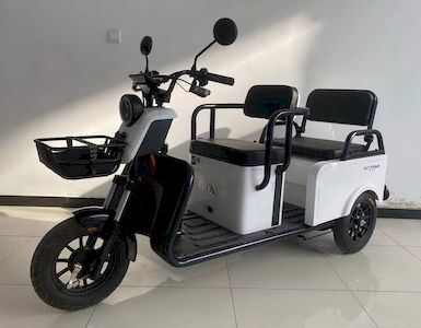 Wanshida  WSD1200DZK8 Electric tricycle