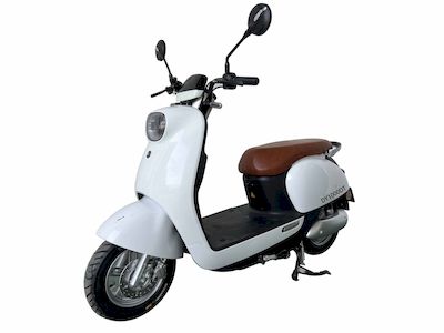 Dayang  DY1000DT Electric two wheeled motorcycle