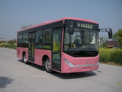 Friendship  ZGT6832DHS City buses