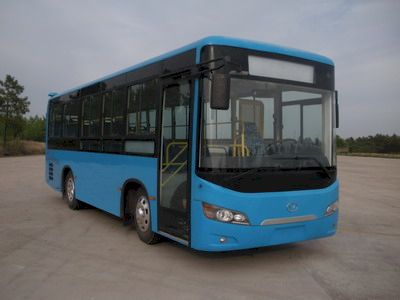 Friendship  ZGT6832DHS City buses