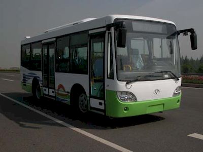 Friendship  ZGT6832DHS City buses